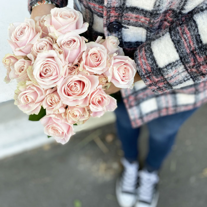 La rose Sweet Avalanche, de couleur rose pâle délicate et poudrée.