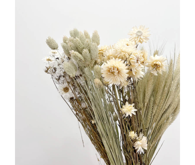 Fleurs séchées coloris blanc lagure : Les fleurs séchées dans la décoration  NATURALYS maison - botanic®