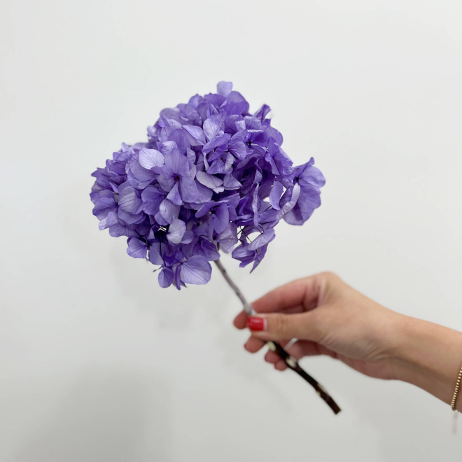 Ficelle en soie, 2 mm, violet hortensia