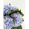 Hortensia bleu clair (5 tiges)