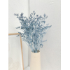 Limonium séché bleu (5 tiges)