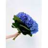 Hortensia bleu foncé (5 tiges)