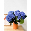 Hortensia bleu foncé (5 tiges)