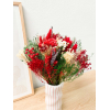 Bouquet sec rouge