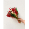 Bouquet sec rouge