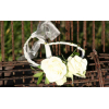 Bracelet rose branchue blanche
